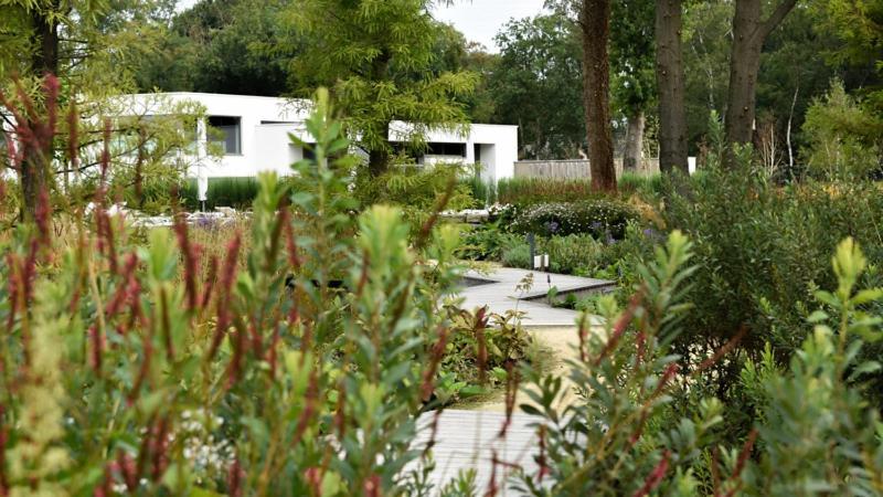אוסטרהוט Natuurhuisje Bergvliet - Nature, Golf & Wellness מראה חיצוני תמונה